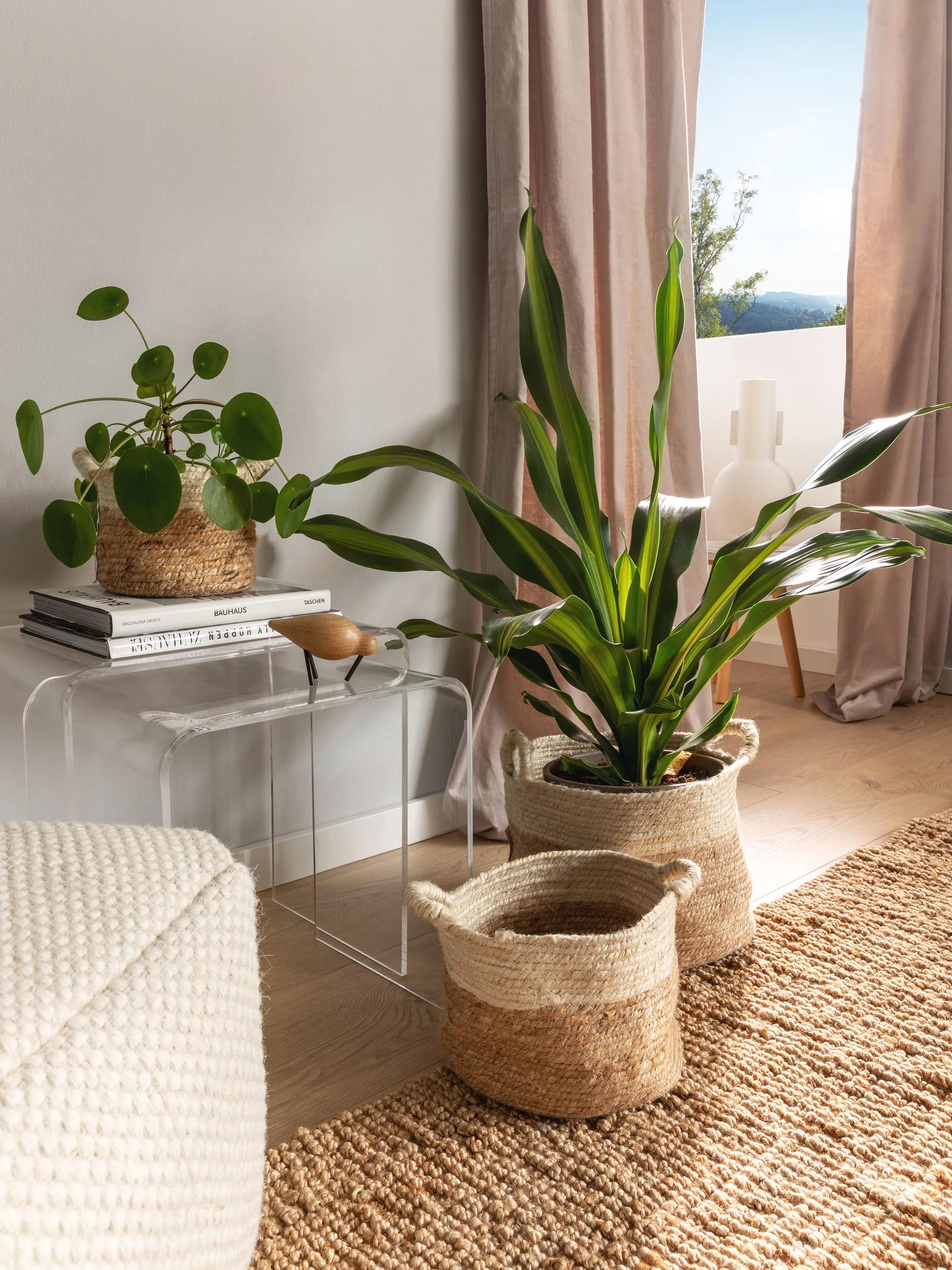Set de coșuri (3 buc.) Aylin – Crem/Bej