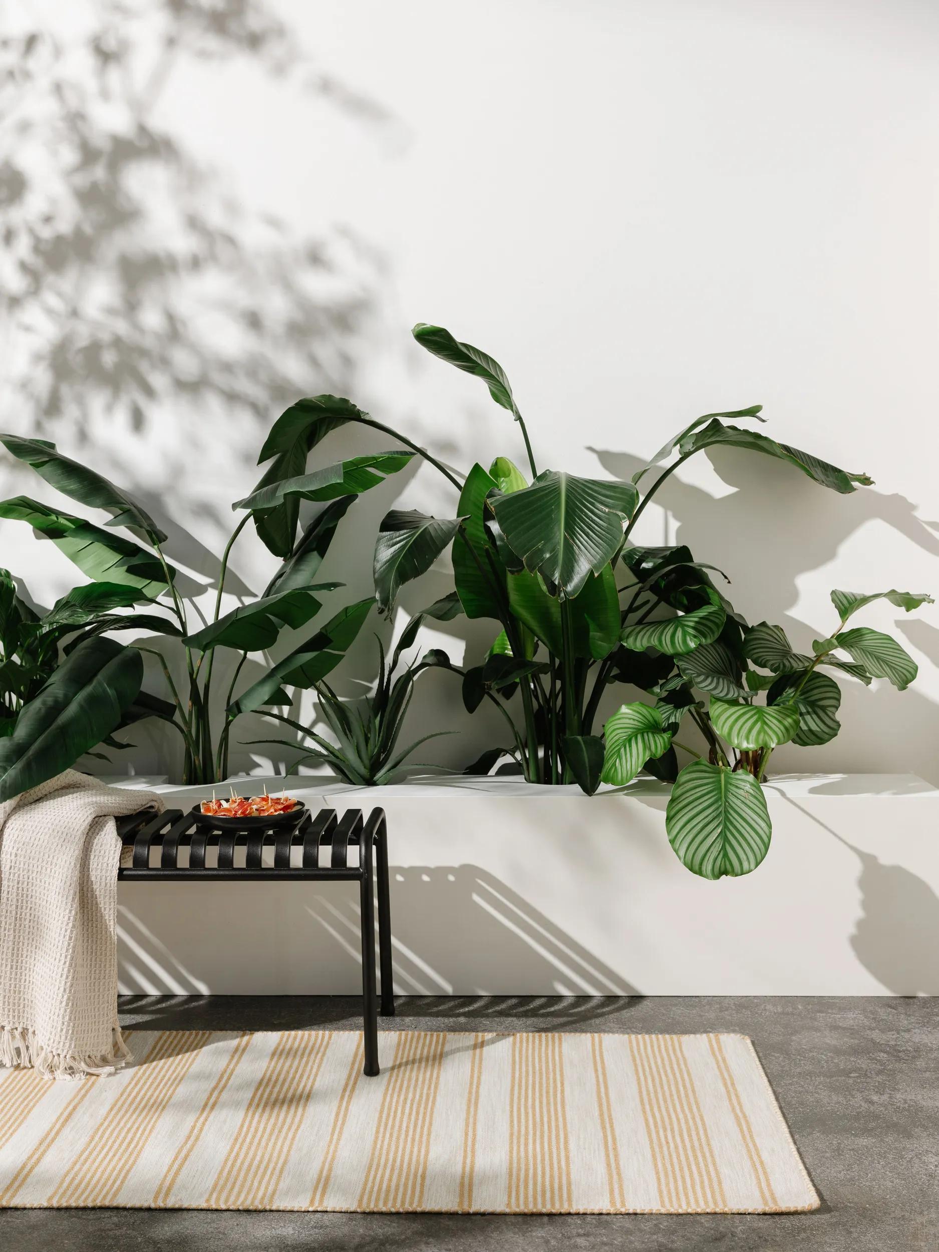Traversă de interior și exterior Rida – Bej/Galben